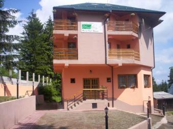 Vanzare Pensiune suprafata: 382 mp