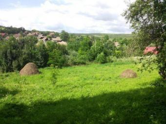Vanzare teren suprafata teren: 4200 mp