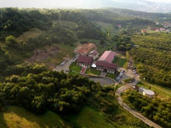 Vanzare teren Faget suprafata teren: 1924 mp