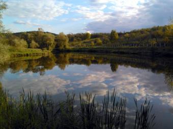 Vanzare teren suprafata teren: 59000 mp