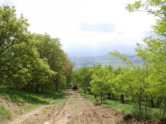 Vanzare teren . suprafata teren: 1200 mp