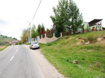 Vanzare teren Salicea suprafata teren: 26300 mp