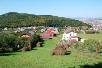 Vanzare teren Floresti suprafata teren: 1185 mp