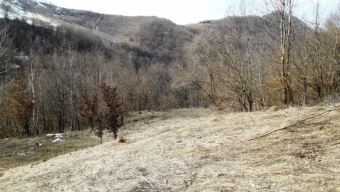 Vanzare teren suprafata teren: 4300 mp