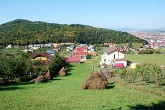 Vanzare teren Floresti suprafata teren: 1185 mp